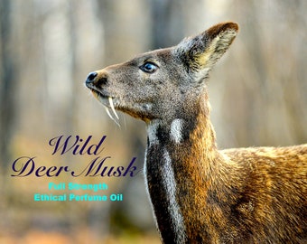 Wild Deer Musk - Oil Perfume - Made From Pure DM Grains.
