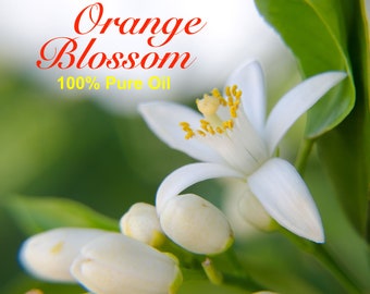 Könnte beinhalten: Nahaufnahme einer weißen Orangenblüte mit gelbem Pollen. Die Blüte ist scharf, während die anderen Knospen unscharf sind. Der Text "Orange Blossom 100% Pure Oil" ist oben im Bild sichtbar.