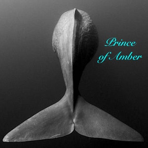 Prince of Amber - Sultan Fragrances Exclusive Blend