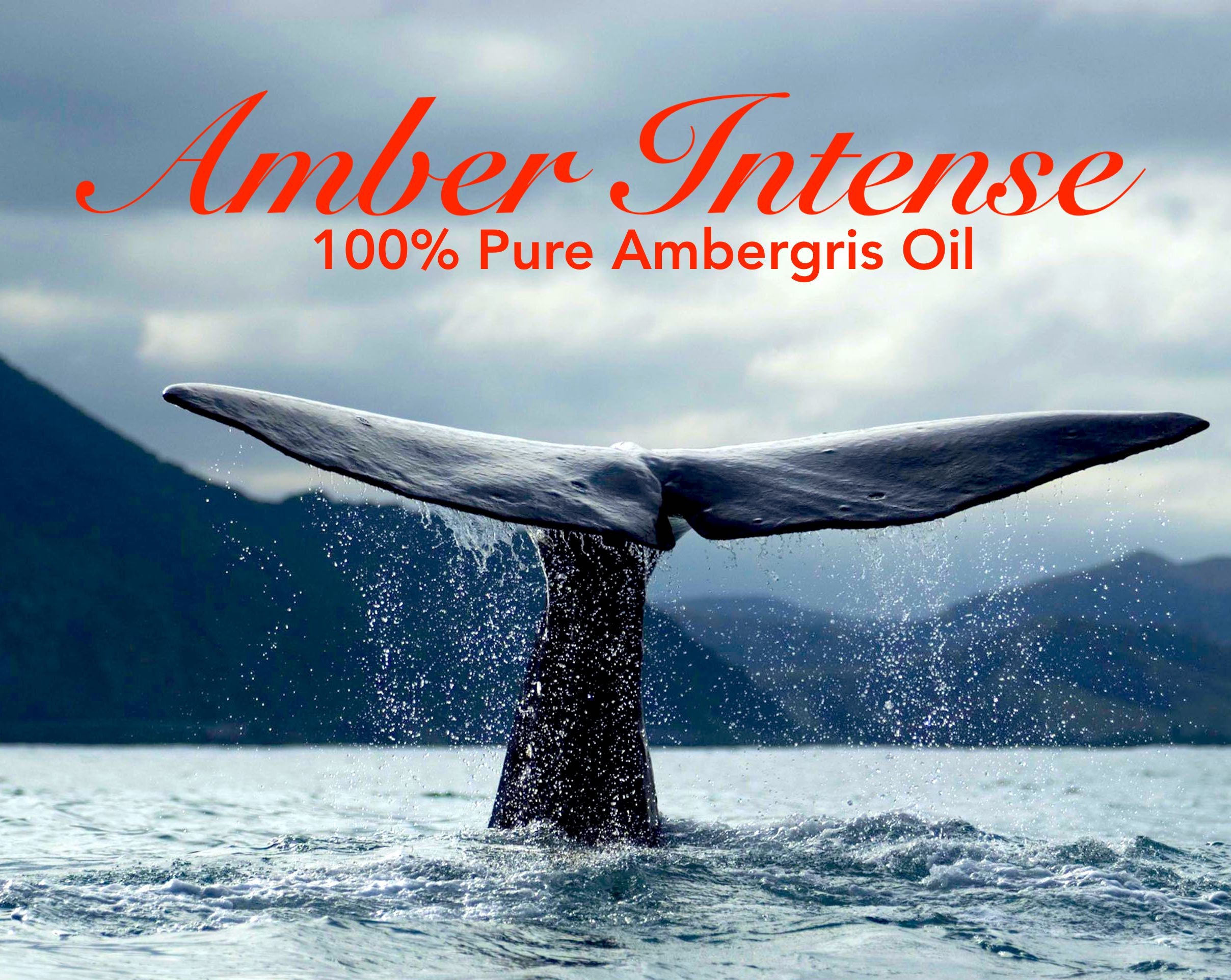 Amber Intense/Pure Ambergris Oil