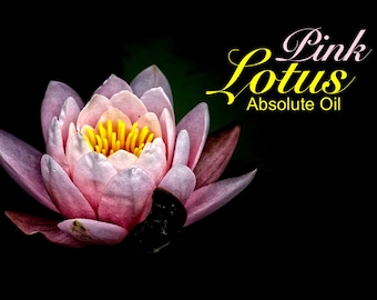 Frangipani - 100% Absolute Oil