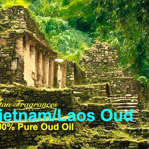 Vietnamees/Laos oudh: 100% puur oudh/agarhoutolie