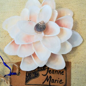 Shell Camellia