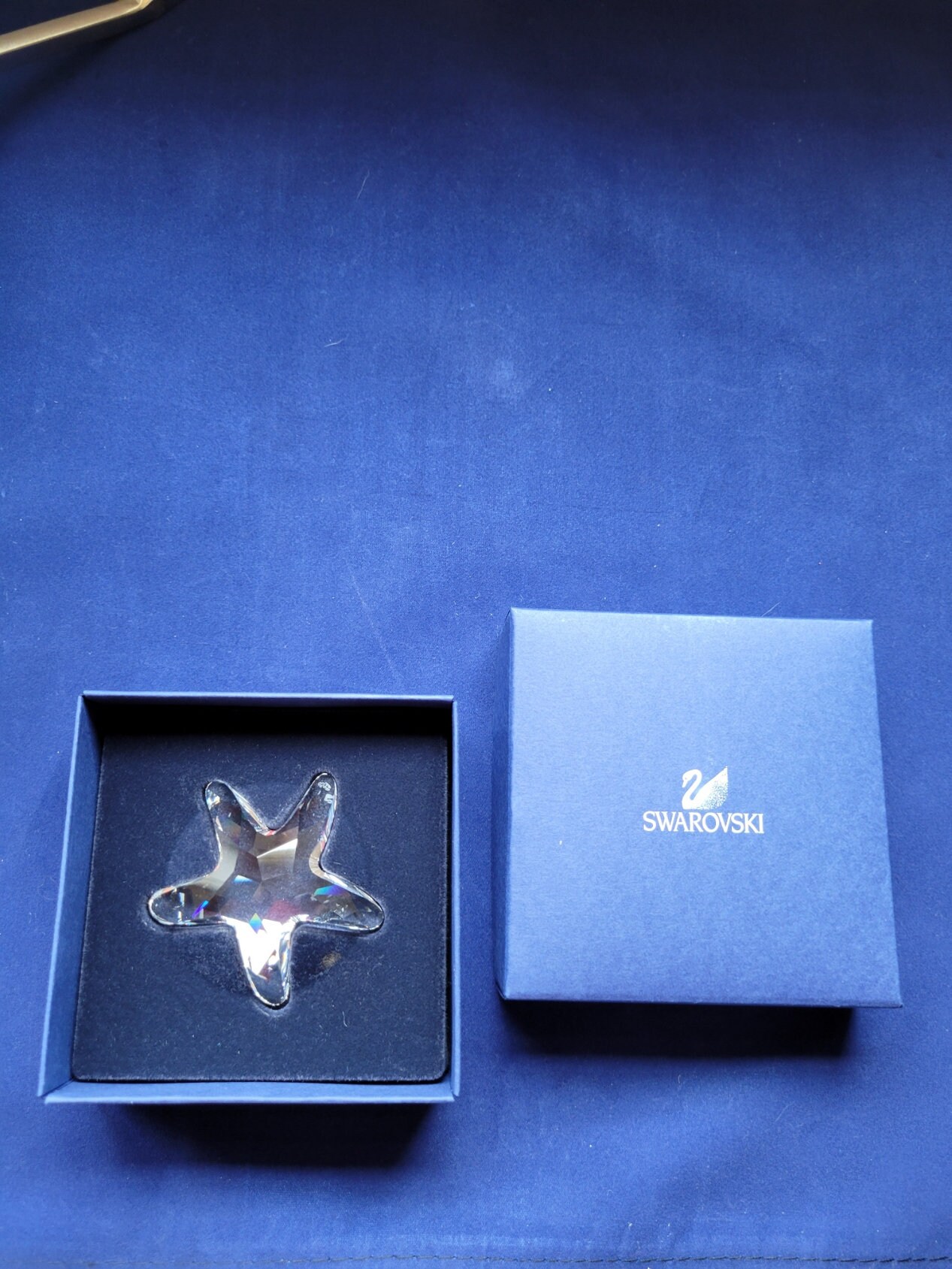 Swarovski SCS Member 2005-2007 Trilogy of the Sea Shells - Etsy