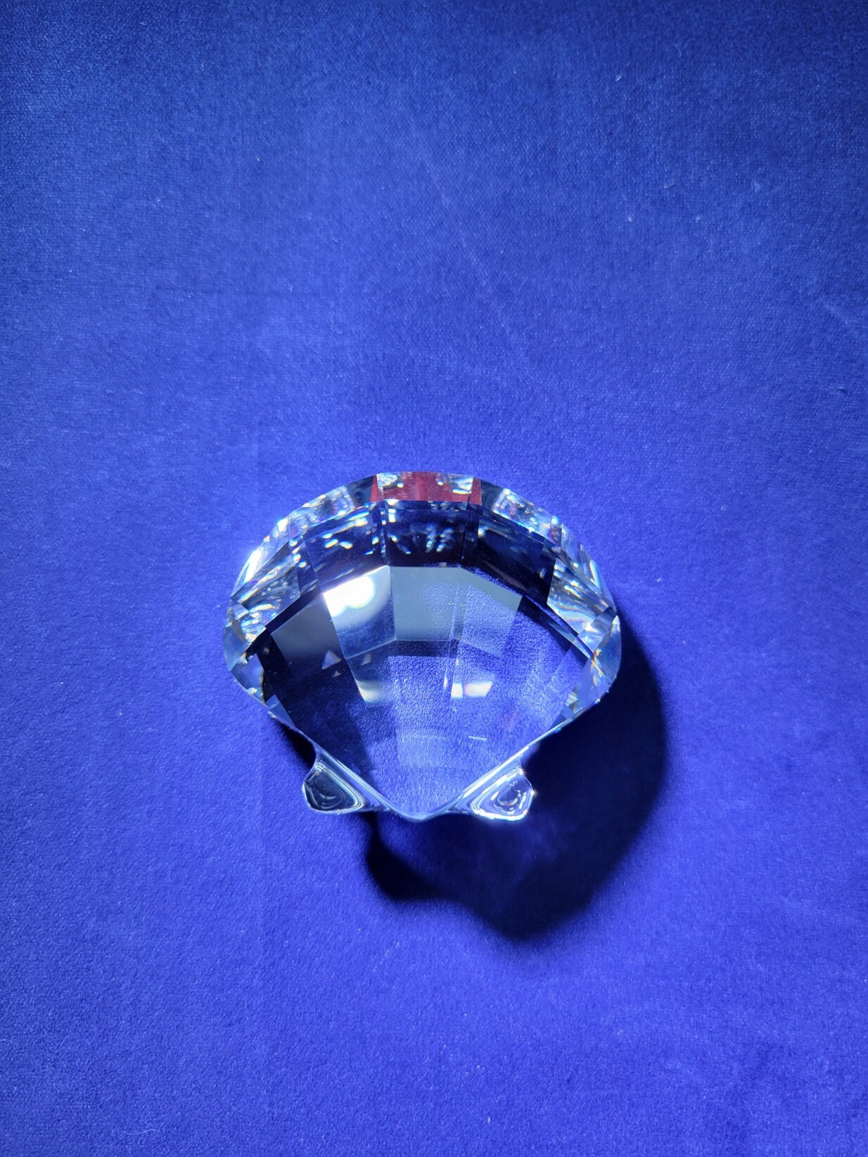 Swarovski SCS Member 2005-2007 Trilogy of the Sea Shells - Etsy