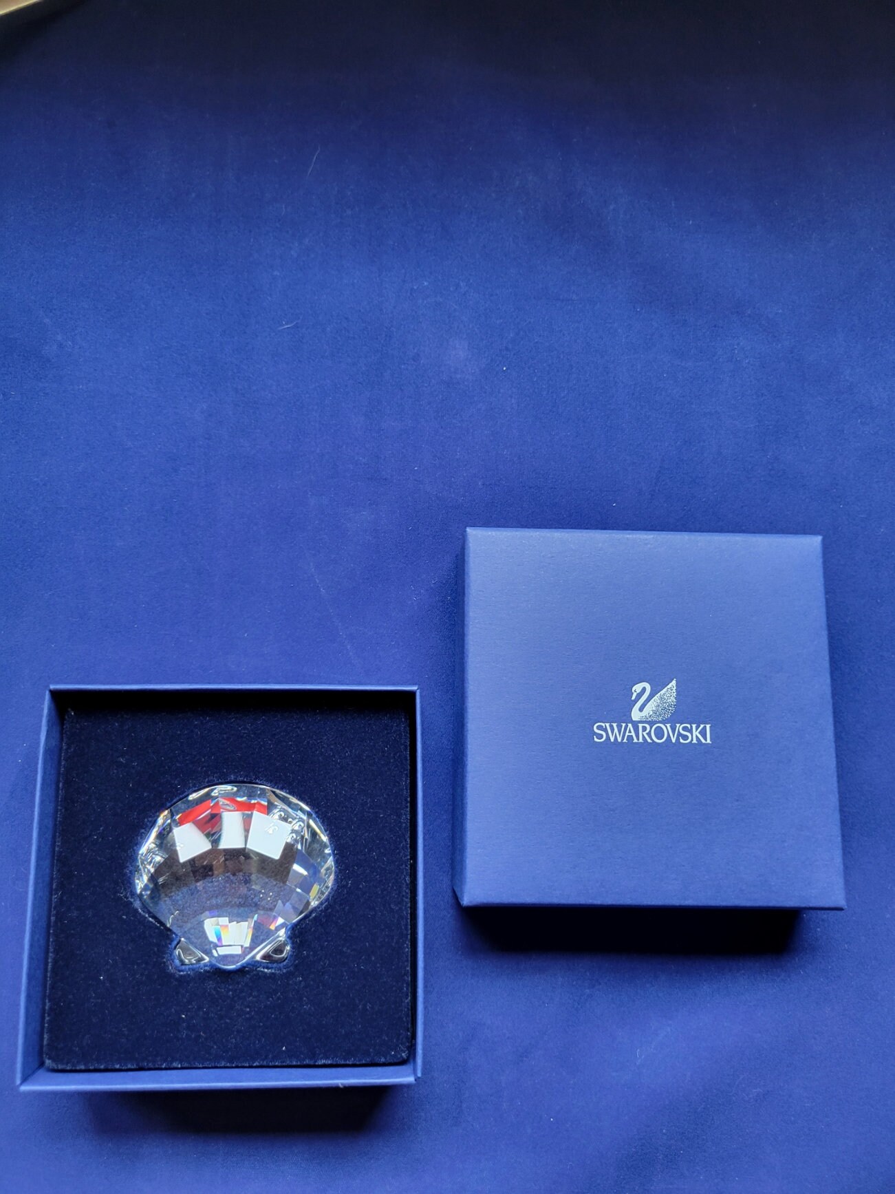Swarovski SCS Member 2005-2007 Trilogy of the Sea Shells - Etsy
