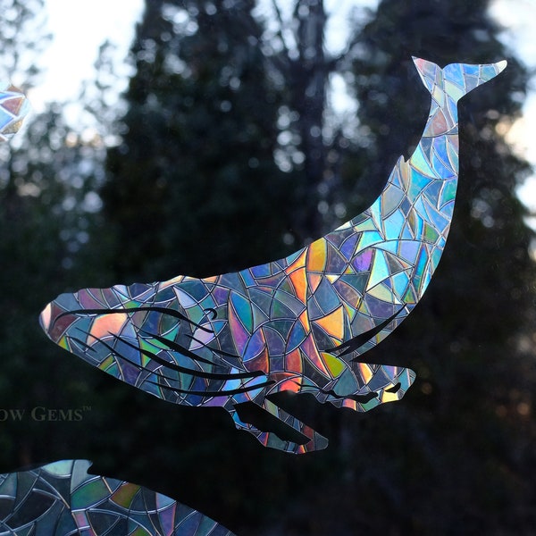 Humpback Whales - Static Window Clings - Help Birds Prevent Window Collisions - Set of 4 Decals