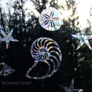 Shells Window Clings: Rainbow Decals, Prevent Bird Collisions - Set of 11