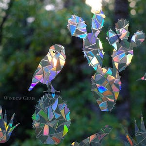 May include: A colorful iridescent owl perched on a cactus, with the text "WINDOW GEMS" at the bottom of the image.