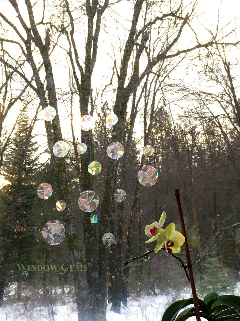 Dots Window Gems Static Window Clings Alert Birds to Etsy