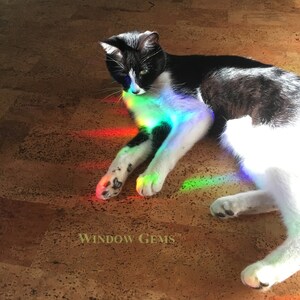 May include: A black and white cat laying on a cork floor with a rainbow prism light shining on it. The text "WINDOW GEMS&trade;" is visible in the lower left corner of the image.