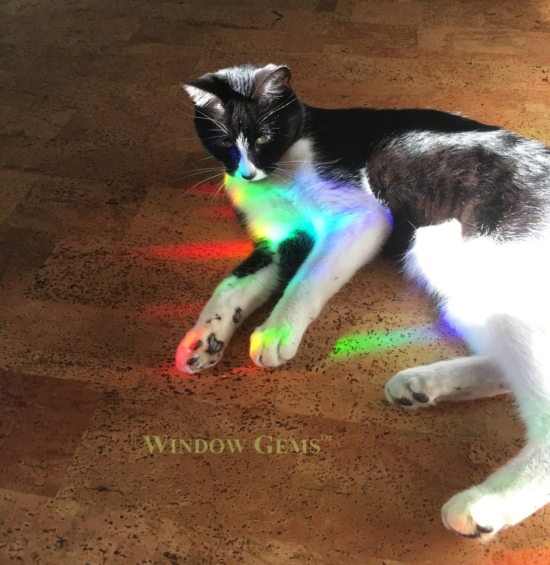 May include: A black and white cat laying on a cork floor with a rainbow prism light shining on it. The text "WINDOW GEMS&trade;" is visible in the lower left corner of the image.