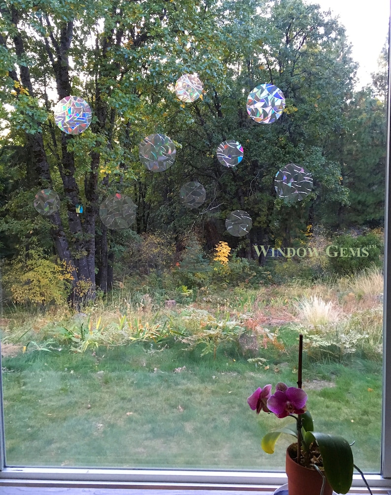 Circle Window Gems: Prismatic Static Clings, Prevent Bird Collisions (Set of 10 Decals) image 5
