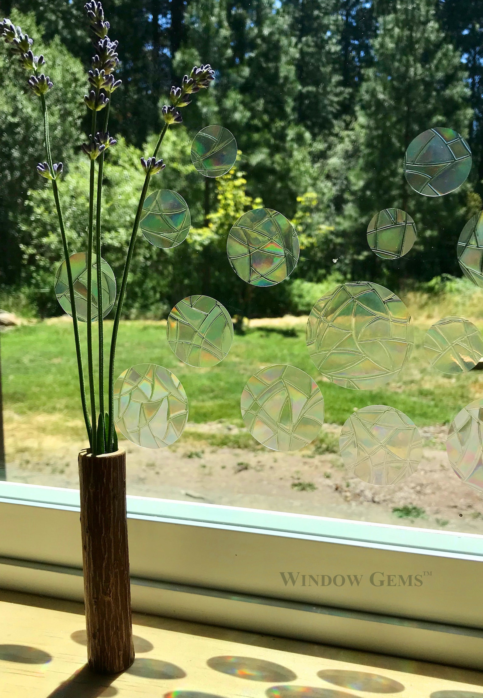Dots Window Gems Static Window Clings Alert Birds to Etsy