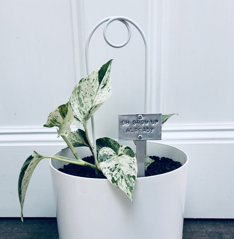Indoor Plant Tags / Indoor Plant Markers / Plant Decor / Etsy