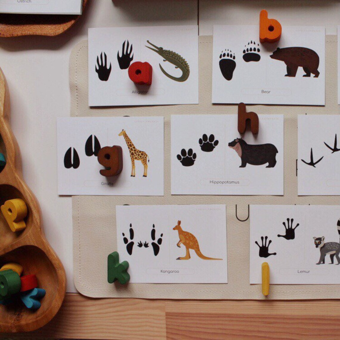Animal Tracks Flash Cards Preschool Flash Cards Preschool Etsy