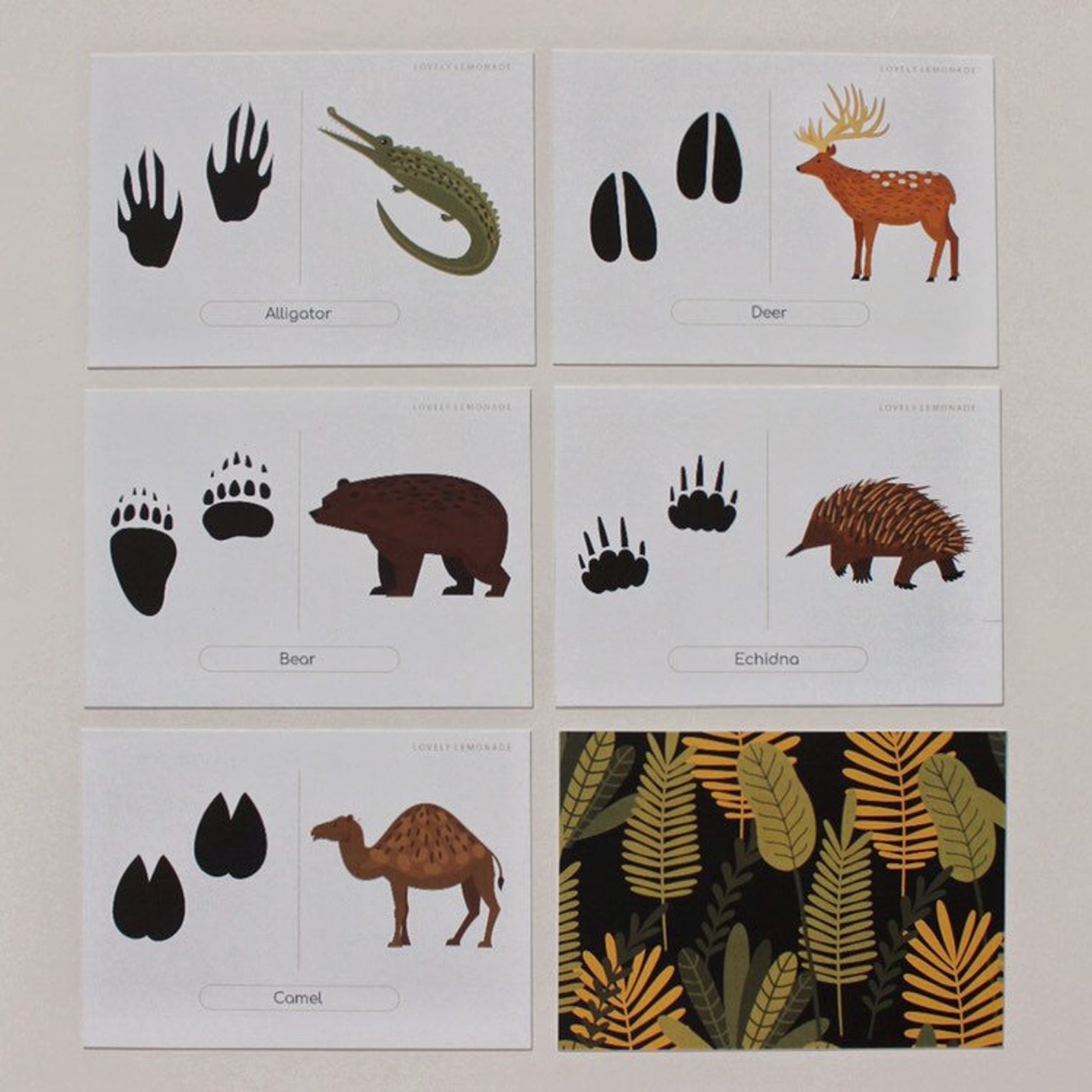 Animal Tracks Flash Cards Preschool Flash Cards Preschool Etsy