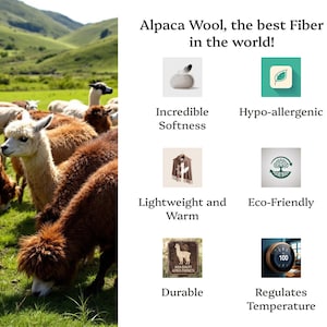 May include: A group of alpacas grazing in a field. The image includes text that reads "Alpaca Wool, the best Fiber in the world!" and lists the benefits of alpaca wool, including incredible softness, hypoallergenic, lightweight and warm, eco-friendly, durable, and regulates temperature.