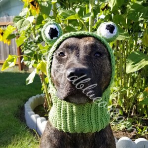 Frog Dog Snood