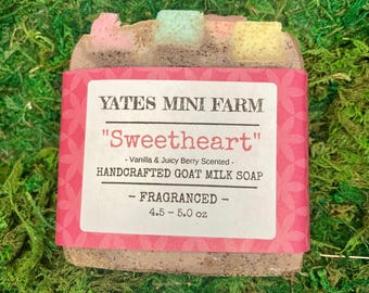 Sweetheart Valentines Day Handcrafted Goat Milk Soap