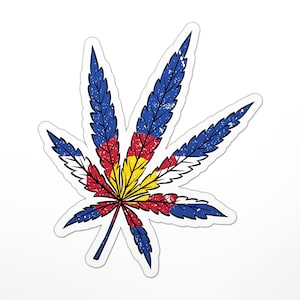 May include: A stylized marijuana leaf with the colors of the Colorado state flag. The leaf is blue, white, red, and yellow.