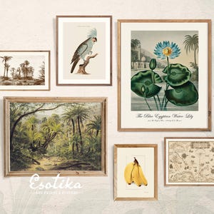 Tropische vintage fotowand set van 6 prints / AFDRUKBARE botanische muurkunst / Jungle print / vintage bloemenprint / digitale download #12set