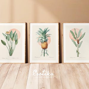Moderne botanische Galerie-Wand / 3er Set tropische Pflanzen Poster / DRUCKBAR Sage grüne Zimmer Deko / Aquarell Kunst / digitaler Download #13s