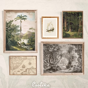 Tropical forest gallery wall / Vintage jungle print / PRINTABLE set of 5 prints / Botanical Palm tree wall art / digital download #70s