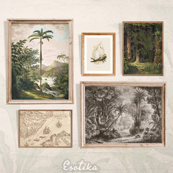 Tropical forest gallery wall prints / Vintage jungle print / PRINTABLE set of 5 matching prints / Botanical Palm art / digital download #70s