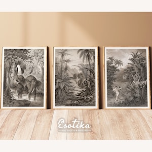 Tropical forest gallery wall set of 3 prints / Botanical jungle antique drawings / PRINTABLE Brown art nature / digital download #074s