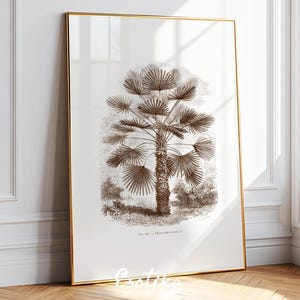 Victorian palm tree print / botanical drawing / Vintage brown art / PRINTABLE colonial art / Neutral tone decor / digital download #075
