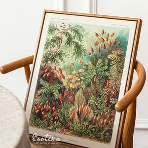 Tropischer Blumen Garten Print / grüner Dschungel Print / Vintage Natur Poster / grüne Wandkunst / große Wandkunst / digitaler Download #002
