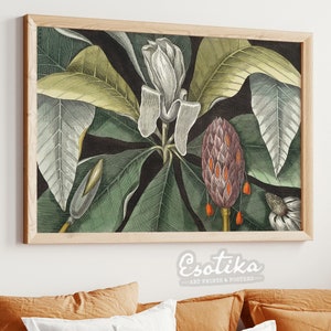 Tropical leaves art / Botanical dark green plant print / Vintage jungle print / PRINTABLE tropical flower / digital download #315