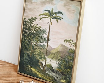 Botanical palm tree wall art / jungle printed POSTER / tropical landscape / Vintage nature print / greenery wall art / colonial art / #343