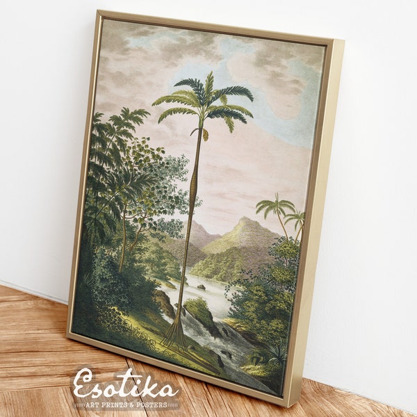 Art mural botanique palmier / POSTER imprimé jungle / paysage tropical / impression nature vintage / art mural verdure / art colonial / #343