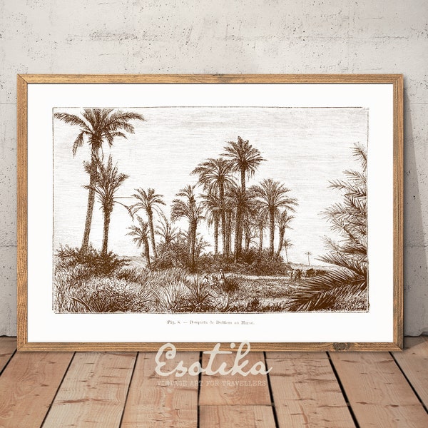 Vintage palm tree landscape drawing / Monochrome brown art nature / PRINTABLE rustic wall art / jungle print / digital download #066
