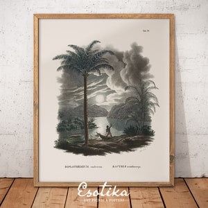 Dark green tropical forest wall art / Vintage jungle nature print / greenery wall art / PRINTABLE rainforest art / digital download #348