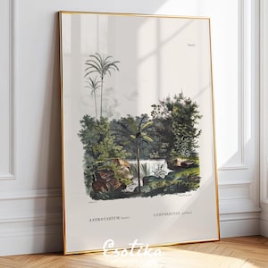 Vintage botanical palm tree wall art / jungle print / tropical landscape / greenery wall art / PRINTABLE colonial art/ digital download #347