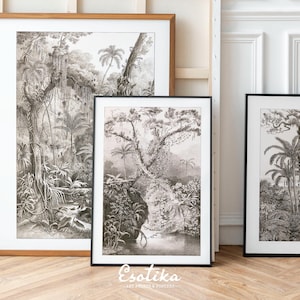 Conjunto de 3 impressões monocromáticas de florestas tropicais / parede de galeria vintage / desenhos botânicos de selva / palmeiras PARA IMPRIMIR / download digital #75s