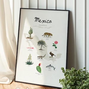 Airbnb Landkarte Mexiko / Stadtplan von Mexiko / Vintage Tierbild / botanische Karte / Reise Geschenk / tropisches Poster #396