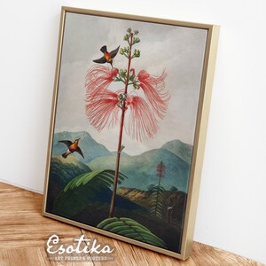 Impresión de flores tropicales / Impresión de aves vintage / Arte de pared botánico / Pintura al óleo de colibríes / Impresión de animales IMPRIMIBLE / Descarga digital #027