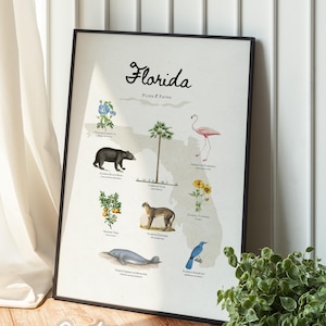Poster botanico vintage della Florida / stampa di mappa illustrata / regalo per gli amanti della natura / arte murale Airbnb / regalo di viaggio / decorazione tropicale STAMPABILE #381