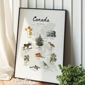 Poster botanico del Canada / mappa illustrata / regalo per gli amanti della natura / arte murale Airbnb / regalo da viaggio / stampabile vintage / decorazione tropicale #376
