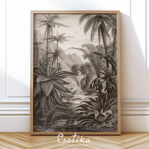 Impresión monocromática de jungla / PÓSTER vintage / blanco y negro / Dibujo antiguo tropical / Impresión de palmera vintage / Arte de pared grande n.° 150
