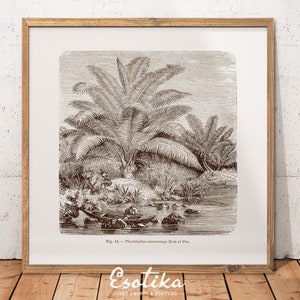 Monochrome Palm tree print / Brown art nature / PRINTABLE palm tree drawing / antique botanical nature drawing / digital download #103