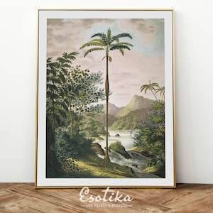 Vintage botanical palm tree wall art / jungle print / tropical landscape / greenery decor / PRINTABLE colonial art / digital download #343