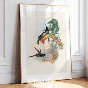 Impresión de aves tropicales / Impresión de colibrí / Arte mural de flores botánicas / Dibujo vintage / Pintura de acuarela de la jungla / Póster IMPRESO n.° 123