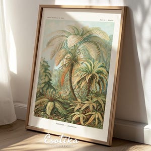 Ernst Haeckel rainforest wall art / Palm tree wall art / green jungle print / PRINTABLE Tropical landscape / Vintage digital download #003