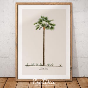 Botanical palm tree art print / tropical plant antique drawing / vintage PRINTABLE jungle print / greenery wall art / digital download #379