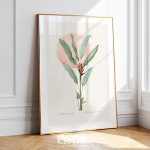 Tropical flower watercolor painting / botanical wall art / Minimal floral print / PRINTABLE sage green wall art / digital download #132